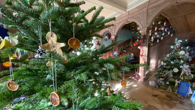 Details of a Christmas tree with a gingerbread man and dried orange slice in a wooden hall with other trees in the background